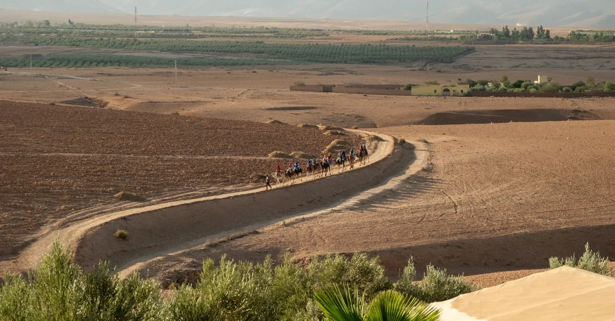 Une vue spectaculaire d'une caravane de chameaux traversant le paysage désertique de Marrakech au Maroc.