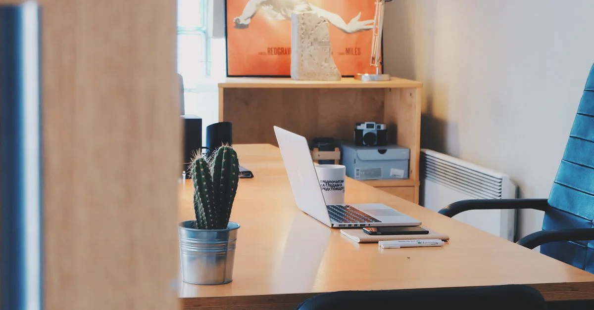 Un bureau moderne avec un cactus, un ordinateur portable et une décoration élégante dans un espace de bureau contemporain.