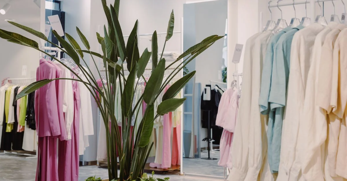Boutique lumineuse et aérée avec des vêtements pastel et une plante verte luxuriante en pièce maîtresse.