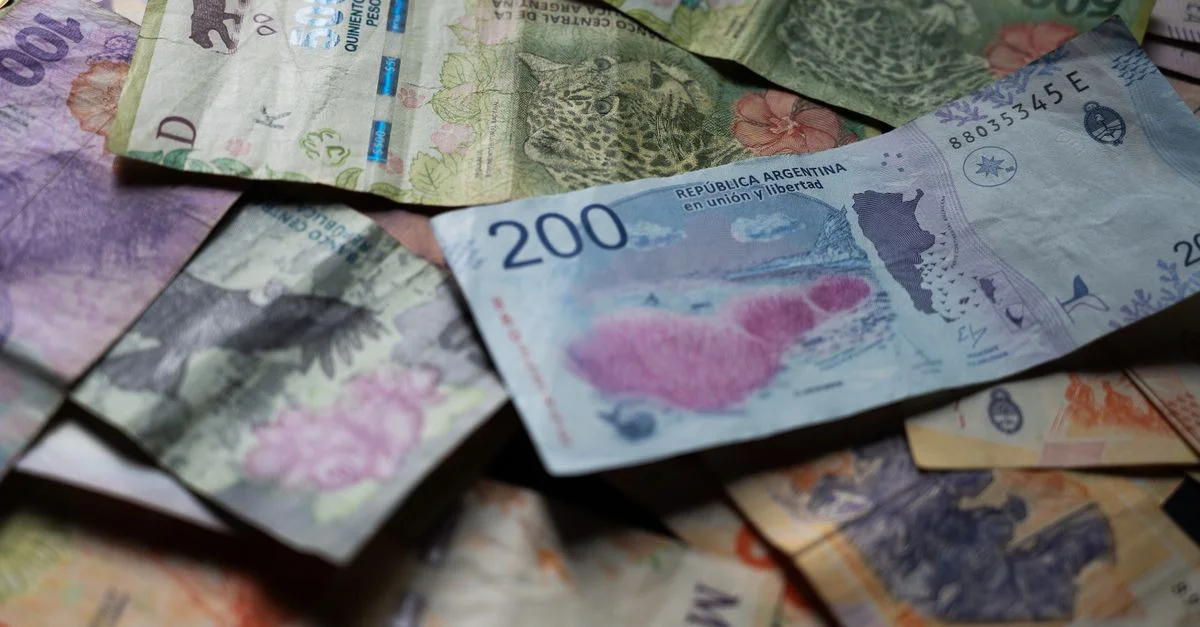 Gros plan sur des pesos argentins mettant en valeur des designs de faune uniques dans la province de Buenos Aires.