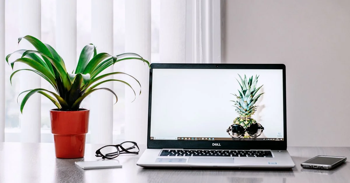 Un espace de travail élégant avec un ordinateur portable, une plante et un smartphone sur un bureau.