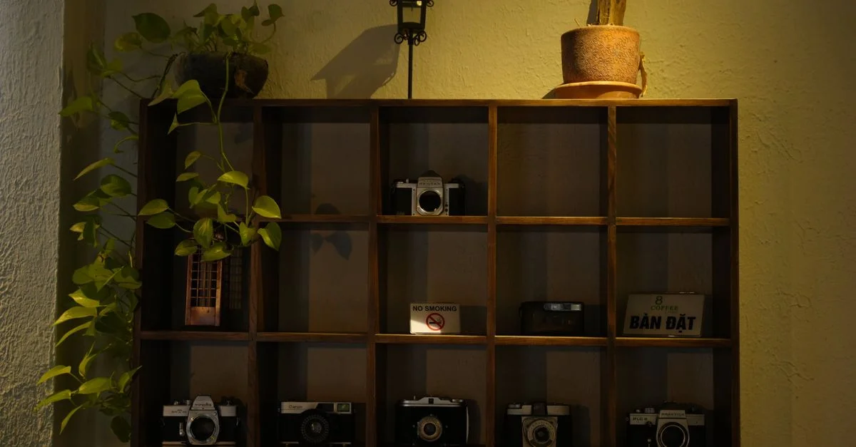 Étagère en bois avec des caméras vintage, des plantes et de la décoration, créant une ambiance classique.
