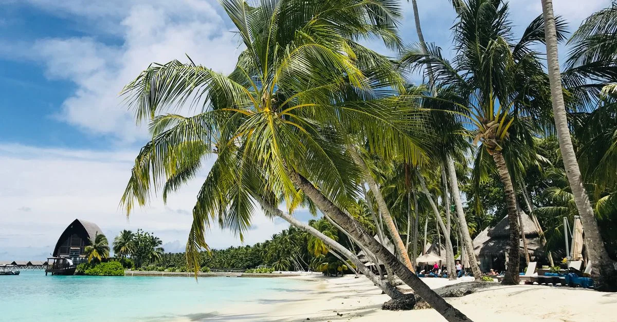 Plage tropicale pittoresque avec des palmiers à Addu City, Maldives.