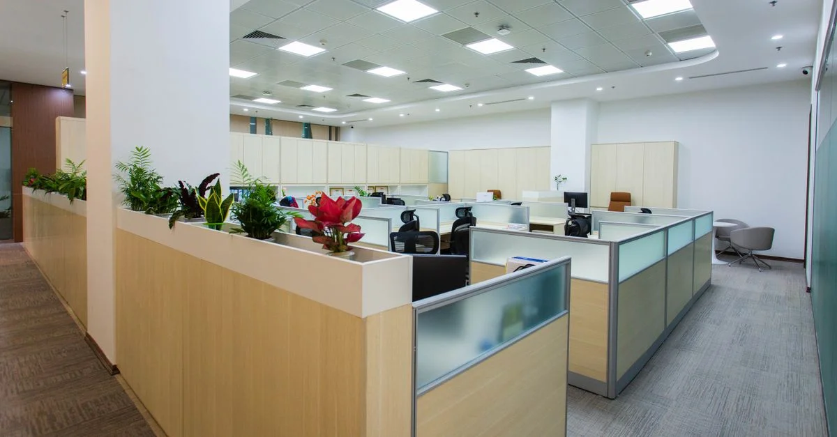 Espace de bureaux ouvert, spacieux et lumineux, avec cloisons, plantes et design contemporain.