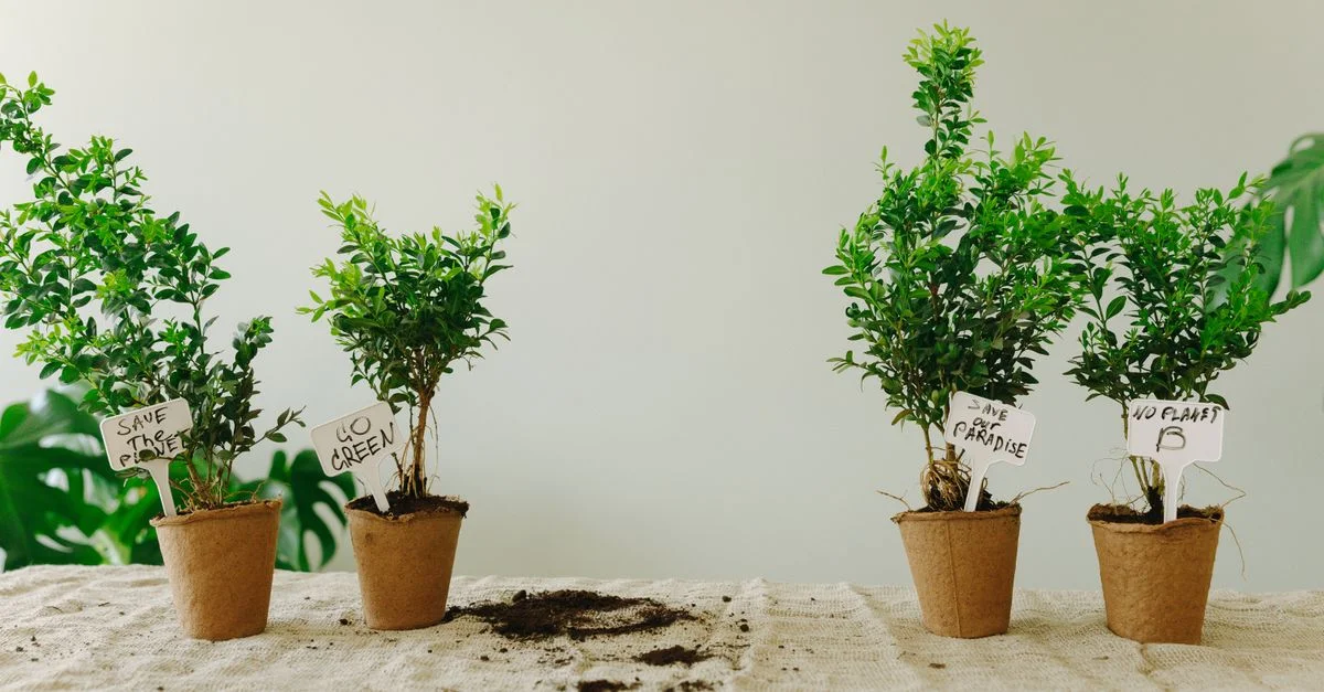 Quatre petites plantes en pot avec des messages écologiques, encourageant la conservation de la nature à l'intérieur.